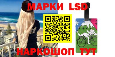 соль ск Новодвинск